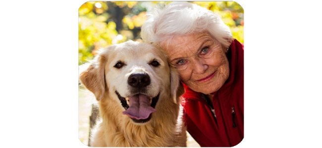 Pawbiotix Reviews dogs